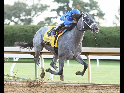 Essential Quality Highlights