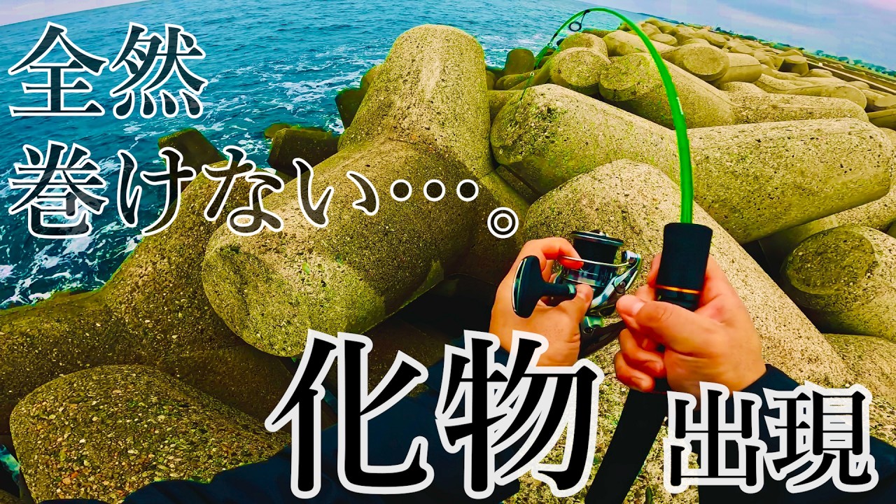 【穴釣り】超ライトタックルで遊んでいたらとんでもないサイズが来ました。