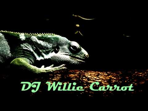 Jupiter Ace - 1000 years (DJ Willie Carrot remix)