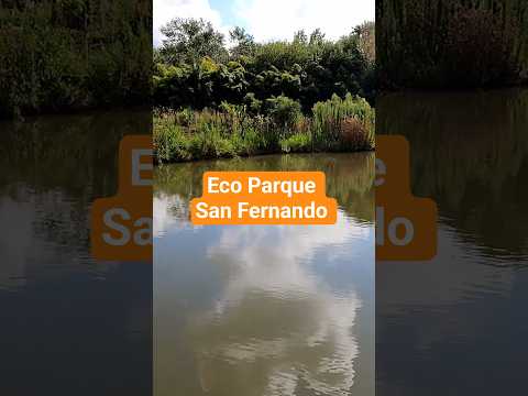 ¿Sabías que existe este lugar en San Fernando? 🌿✨ #Shorts