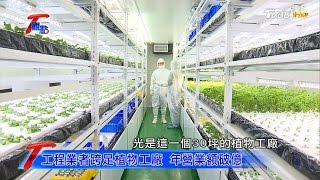 大樓裡種蔬果！科技人跨足植物工廠 種出超夯蔬菜