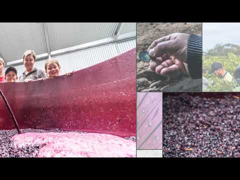 Lost Penny Wines