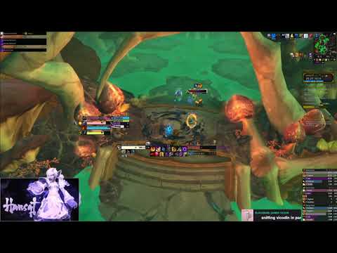 Plaguefall +21 - Shadow Priest PoV