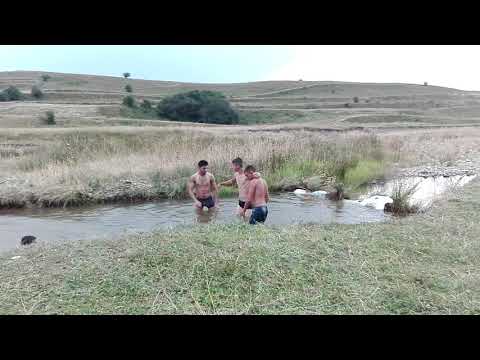 SARATA SIBIU ROMÂNIA 2017