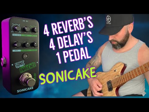 SONICAKE SONIC AMBIENCE 4 REVERB's 4 DELAY'S 1 PEDAL