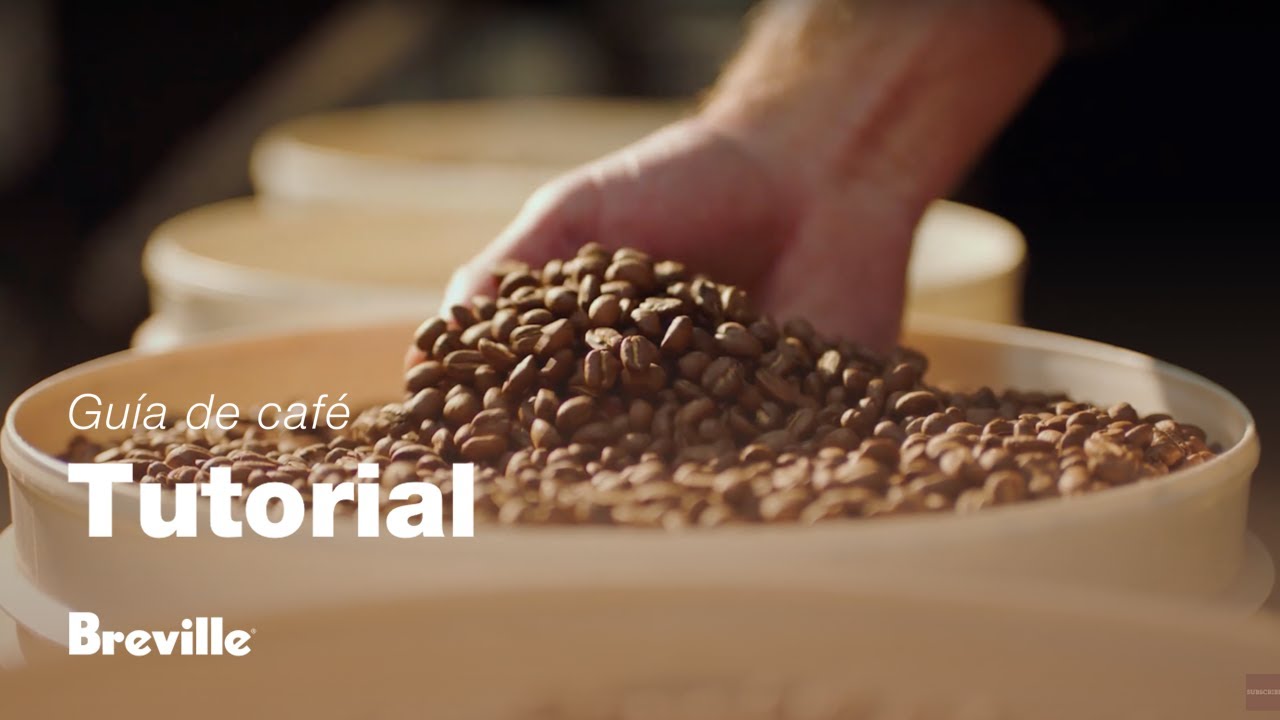 Tutorial de guía de café de Breville - Elegir los granos de café adecuados