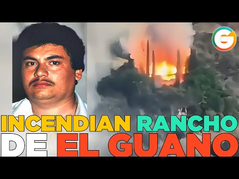 Incendian rancho de Aureliano Guzmán “El Guano”  #Badiraguato  #Sinaloa