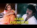 காண கருங்குயிலே Ponmana Selvan Movie Songs Mano K S Chithra