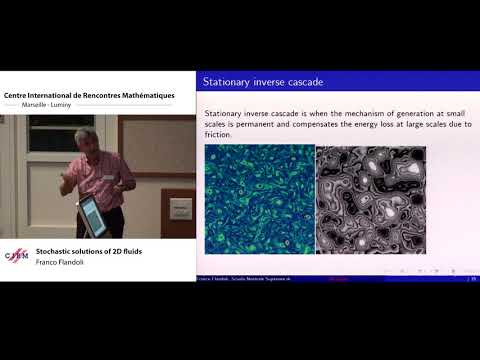 Franco Flandoli: Stochastic solutions of 2D fluids​