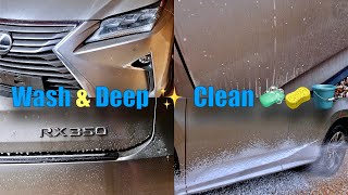 10yr Old Lexus Rx | Deep Decontamination Wash & Clean (vlog 62)