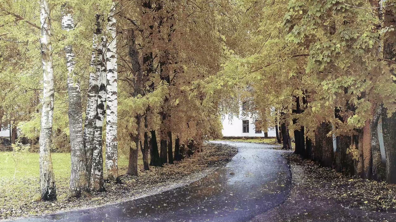 [環境音/ASMR]雨の降る音、生活音、森の音3時間/自然音#雨音  #環境音 #雨ASMR