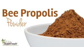 All About Bee Propolis Powder - LiveSuperFoods.com