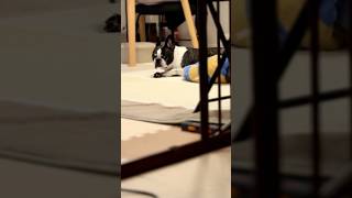 無言の圧力。フレブルが何か伝えたくてじっと見つめてくるので要件聞いてみた