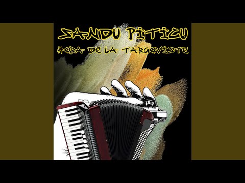 Petrecere La Acordeon