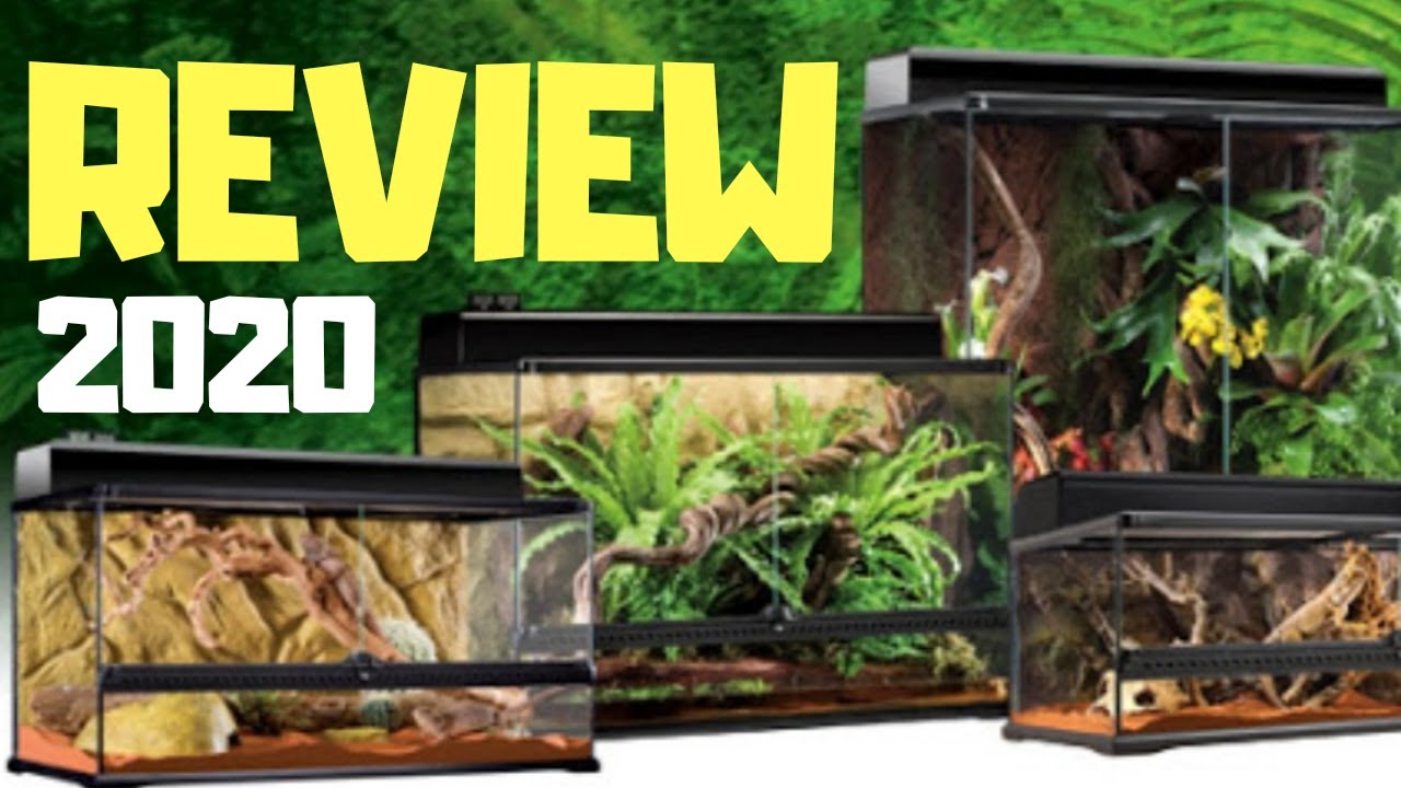 Exo-Terra Terrarium REVIEW || Pros & The Biggest Problems 2020