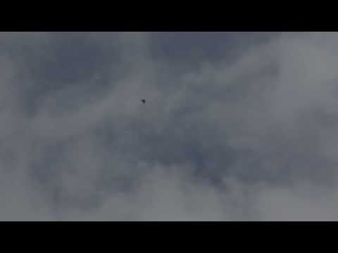 INCREDIBLE UFO FOOTAGE TAKEN OVER GRIFFITH PARK IN LOS ANGELES TODAY 12-18-2021