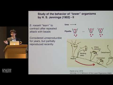 La biologie de l'information... (12) - Walter Fontana (2019-2020)