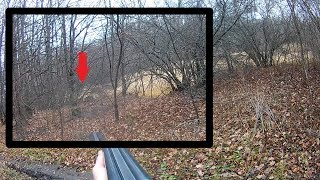 охота на кабана 2019. точный выстрел