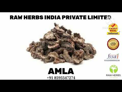 AMLA -  INDIAN GOOSEBERRY - EMBLICA OFFICINALIS