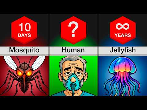 Comparison: Shortest To Longest Animal Lifespans