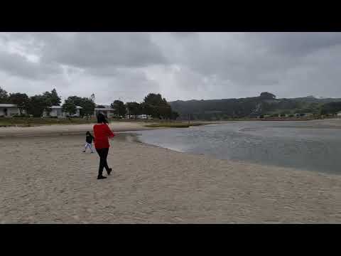 New Zealand's most beautiful beach | Pakiri beach ⛱ 😍 😎 @mhtmtl4883
