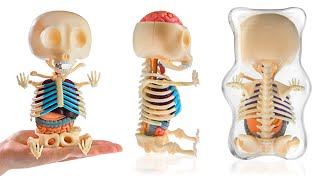 Gummy Bear GUTS -- LÜT #46