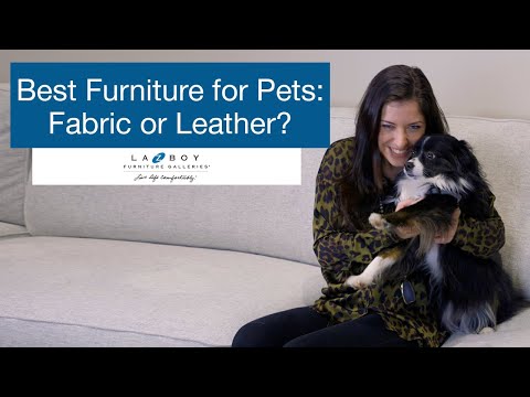 YouTube video about: Are leather couches good for dogs?