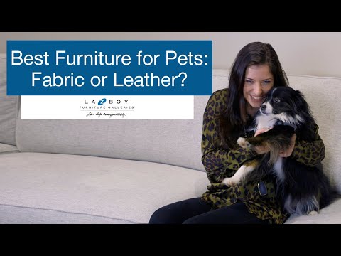 Best Furniture for Pets: Leather or Fabric?