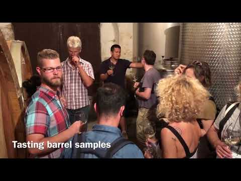 Vipava: Valley of wine