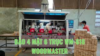 Bào Bốn Mặt Sáu Trục Dao WM-618 | giá tốt nhất tại #fuvico