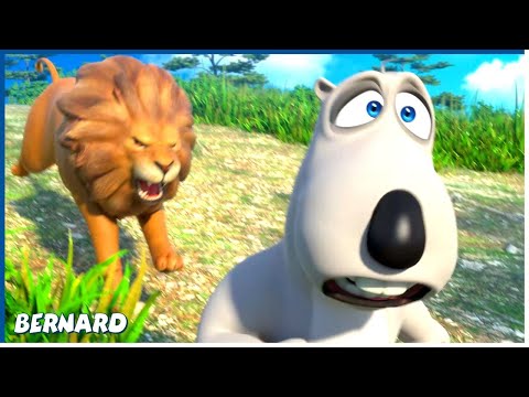 Photographer | Bernard | 110' Compilation