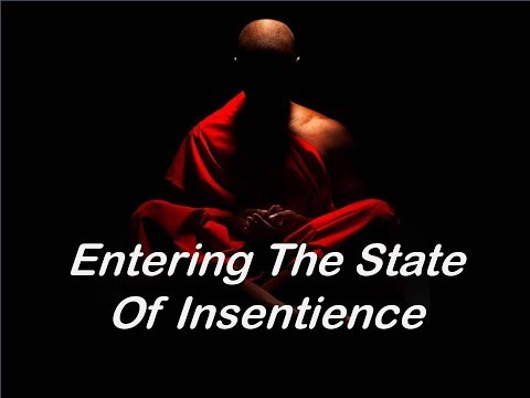 ENTERING INTO INSENTIENCE by Bhante Punnaji