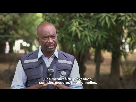 Symptômes, transmission et prévention du mpox