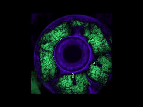 FREE Hard 808 Type Beat [Prod. Gbrick] (117bpm)