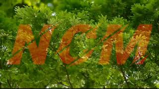 Download lagu (No Copyright)'Groove Day' Hip Hop Beat - Groove and Modern Background Music For Videos by Soul Prod mp3 Download lagu (No Copyright)'Groove Day' Hip Hop Beat - Groove and Modern Background Music For Videos by Soul Prod mp3