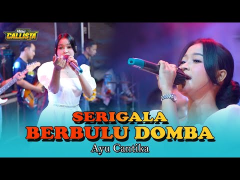 SERIGALA BERBULU DOMBA || AYU CANTIKA || NEW CALLISTA LIVE KESAMBEN WETAN 2025 || WIJAYA MUSIK