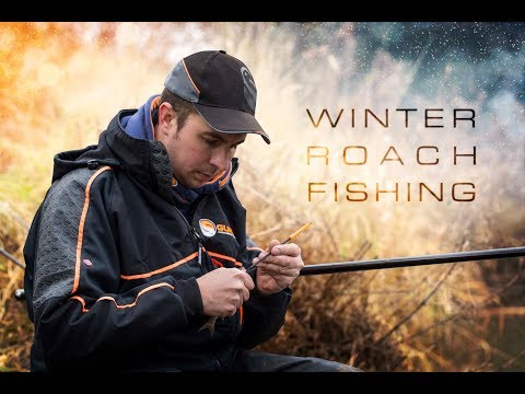 download lagu mp3 mp4 Winter Roach Fishing, download lagu Winter Roach Fishing gratis, unduh video klip Download Winter Roach Fishing Mp3 dan Mp4 Viral Gratis