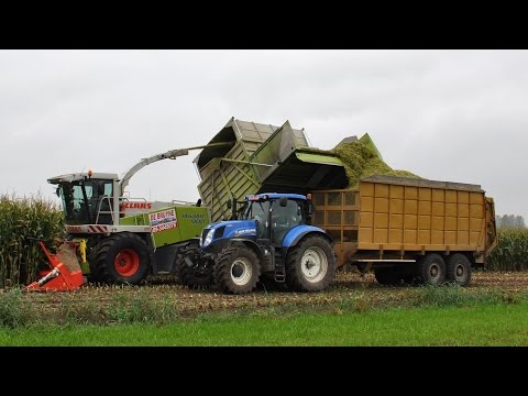 Claas Jaguar 900 Fieldshuttle - Loonw. De Bruyne - mais 2014