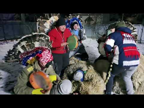 Urșii și ursarii din Brusturi , Neamț.