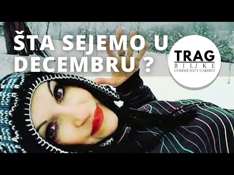 WHAT ARE WE SOWING IN DECEMBER (2021) [TRACE OF THE PLANT]