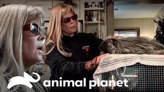 Thumbnail del capítulo