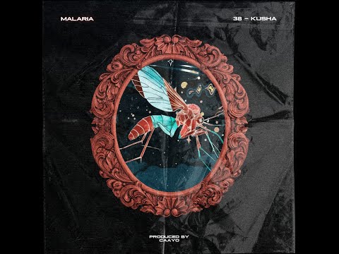 Kusha & 38 - Malaria