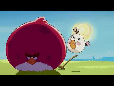 Angry Birds Toons | Gardening with Terence - S1 Ep13