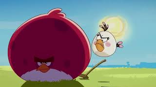 Angry Birds Toons | Gardening with Terence - S1 Ep13