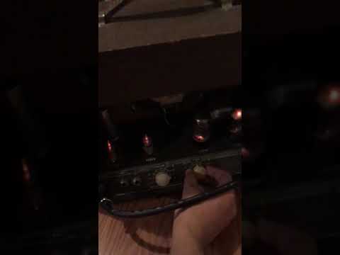 Lectrolab Sound Projects Co. R200B 1965 Brown w/ video image 7