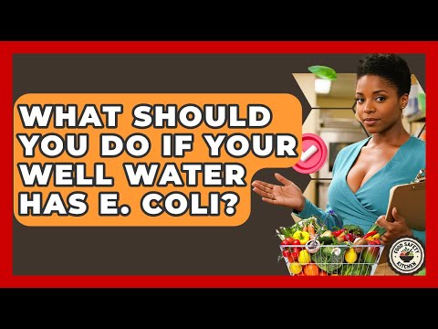What Should You Do If Your Well Water Has E. Coli? - Food Safety Kitchen