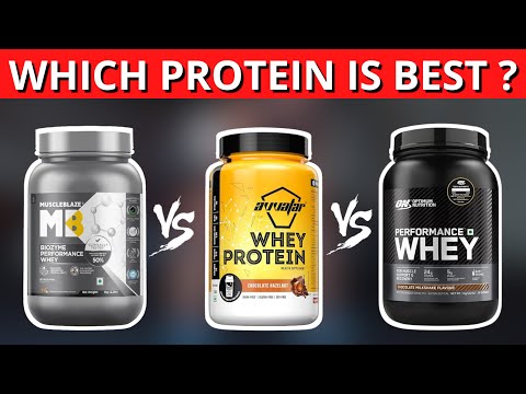 MuscleBlaze vs Optimum Nutrition vs Avvatar Whey Protein | Which One Should You Buy?
