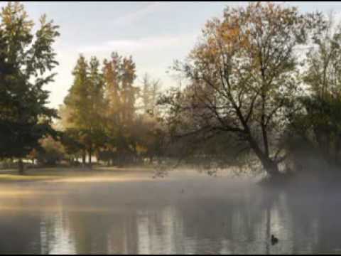 Sương khói - Ý Lan