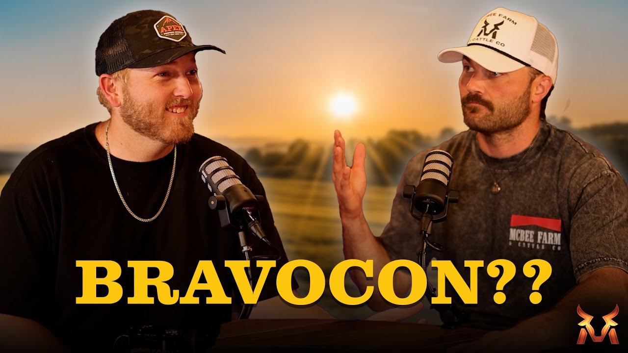 YouTube Thumbnail Downloader FULL HQ IMAGE