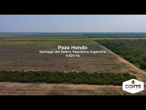 Conte Bienes Raices - Pozo Hondo 6924 ha